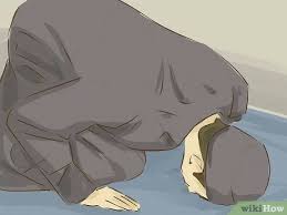 Namun, puasa di 11 muharram masih tetap boleh dilaksanakan, karena masih dalam bulan muharram. How To Celebrate Muharram 11 Steps With Pictures Wikihow