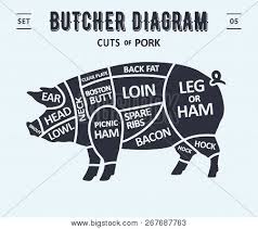 Cut Of Meat Set Poster Butcher Diagram And Scheme Pork