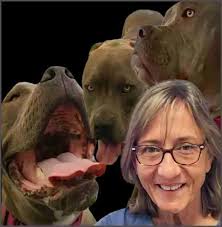 Dogs killed 66 Americans & three Canadians in 2022; pit bulls killed 44