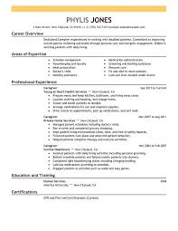 perfect resume samples resume format