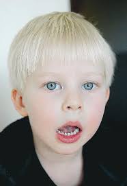 Vad är roligast att göra på Lunnagård?