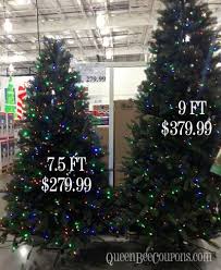 Costco Christmas Trees Christmas Decorations Christmas Lights 2013 Queen Bee Coupons Christmas Decorations Christmas Tree Prices Xmas Tree