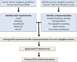 Fifth, an animal that is born of one parent that is permissible to eat and another that is not permissible to eat is haram to eat because the. Developing Control Points For Halal Slaughtering Of Poultry Sciencedirect