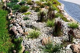 What Is Rain Garden Rain Garden Design Installing Building