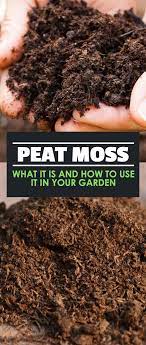 They do recommend only using a 50. Peat Moss Our Guide On Using Sphagnum Peat In Your Garden Peat Moss Peat Soil Garden Soil