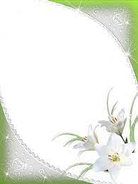 Nice Green Png Frame With White Flowers Cornici Matrimonio