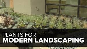 No matter how beautiful your garden is, if it is located beside or even behind the house it will not function optimally because only certain people can enjoy it. 13 Plants For A Modern Garden Garden Design