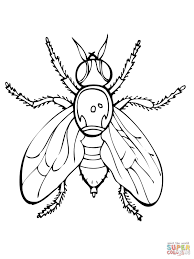 Fruit Fly Super Coloring Coloring Pages Fruit Coloring Pages Coloring Pictures