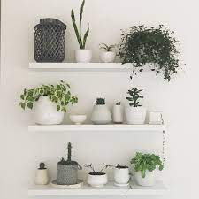 white floating shelves living wall pots house plants room black nest of tables