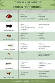 14 Beneficial Insects For Garden Pest Control Infographic