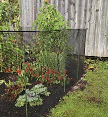A bunch of cedar posts will hardly keep out any animals! Chew Proof Hardware Netting Lee Valley Tools