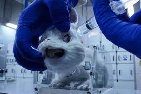 · 92% of experimental drugs that are . Ralph Humane Society International