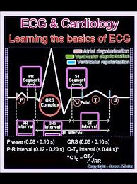 Pin By Priska Ortigoso On School Shit Cardiac Nursing Nurse Paramedic School