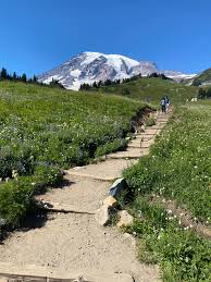 The skyline trail is the main route for hiking out of paradise, mount rainier's south side hub and most popular destination, providing visitors a unique opportunity to experience the breathtaking beauty of washington's grandest mountain. Skyline Trail Scenery Mount Rainier National Park Rainier National Park Skyline