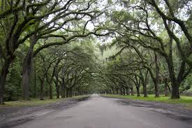 Wormsloe historic site is located at 7601 skidaway road, only 8 miles from savannah's historic district. Wormsloe Plantation Bonaventure Cemetery Tour Savannah Gray Line