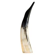 This is the most common symptom. Horn Pinguin Medium 30 35 Cm Dekoration Einrichtung Hornvarefabrikken