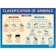 Classification Of Animals Poster The Consortium Education Animal Classification Animal Classification Activity Arthropods