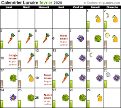 Calendrier Lunaire Pour Jardiner Avec La Lune En 2020 Calendrier Lunaire Lunaire Projets De Jardins