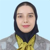 Nabil BERRADA Email & Phone Number