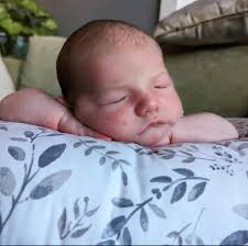 Mary Densmore (@bee_simple) • Instagram photos and videos