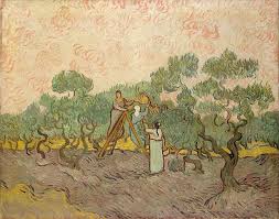 Women Picking Olives December 1889 72 4 X 89 9 Metropolitan Museum Of Art New York F655 Van Gogh Art Vincent Van Gogh Paintings Vincent Van Gogh Art