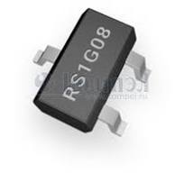 RS1G08XC5 / Runic
