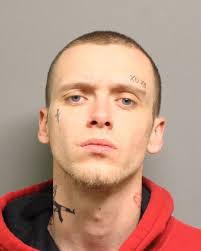 Holland-area residents sentenced for Graafschap Hardware gun theft