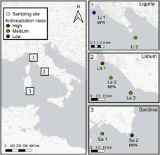 Check it out, it's free! Spatial Variability And Influence Of Biological Parameters On Microplastic Ingestion By Boops Boops L Along The Italian Coasts Western Mediterranean Sea Sciencedirect
