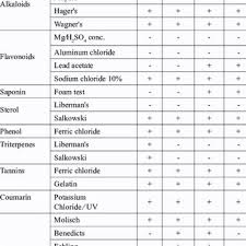 Image result for Stylochaeton borumensis