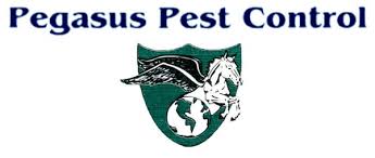 Pegasus showed up in 4 trucks and had a crew of 4 to spray and fog. Pegasus Pest Control 1500 S River Rd West Sacramento Ca Pest Control Mapquest