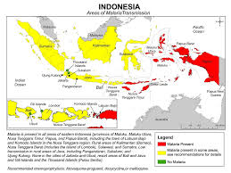 Hasil gambar untuk malaria