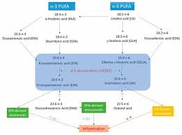 Han öppnar för att fas 4 kan inledas tidigare än planerat då vaccinationsföretagen meddelar att. Nutrients Free Full Text Plasma Phospholipid Fatty Acids Fads1 And Risk Of 15 Cardiovascular Diseases A Mendelian Randomisation Study Html