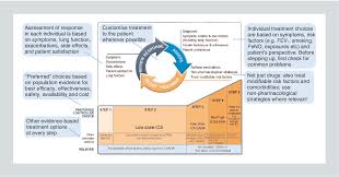Guidelines for compliance with the. Pdf The Impact Of The Global Initiative For Asthma Gina Compass Concepts Controversies And Challenges Semantic Scholar