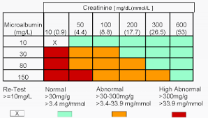 Kacey Diagnostics Urinalysis