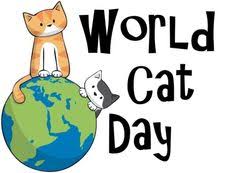 Global cat day in 2020 reminds us that even as attention has been dominated by the global pandemic, we still need to be fighting against forces that could undo the years of progress we've made to increase the protection of cats and kittens, said becky robinson, president and founder of alley. 10 Best International Cat Day Ideas International Cat Day Cat Day Cats