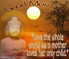 We did not find results for: Buddha Good Morning Quotes With Images Best Status Pics