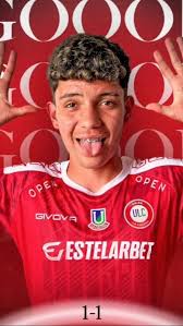 II Versión Fiesta del Verano Sábado 8 de febrero desde las 20:30 hrs El  Porvenir Alto (Costado Iglesia Evangélica) Junta de Vecinos Barrio Alto El  Porvenir Oriente de Llay Llay y la