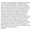 Prometto che più candele di compleanno farai, più sarò qui per te per celebrare ogni evento speciale della tua vita. 1