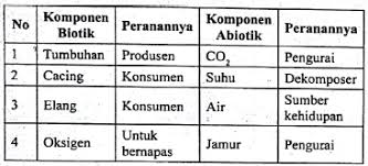 Fokus pada soal, soal menanyakan tentang objek abiotik (bukan makhluk hidup). Soal Online Pat Ipa Kelas 7 Proprofs Quiz