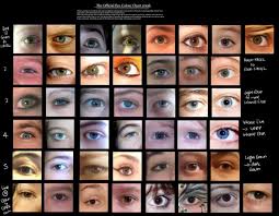Human Eye Color Chart With Names In 2019 Eye Color Chart