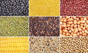 In relation to genetically modified organisms (gmos), monsanto was reported to account for 87% of the total world area devoted to genetically engineered seeds in 2007. Is This How Monsanto Can Rehabilitate Its Image Greenbiz