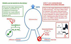 Nsaids And Acei Arbs Stenosis Nsaids Vasoconstriction