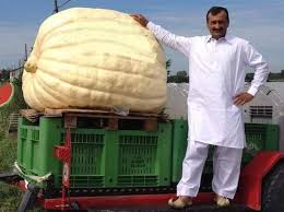 Saman abbas, la 18enne pachistana scomparsa, voleva sottrarsi a un matrimonio combinato. Saman Abbas Scomparsa Le Foto Su Facebook Del Padre Ricercato Mai Una Con La Figlia Corriere It