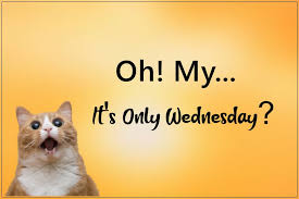 60 Hilarious Funny Wednesday Memes Quotes And Images Funzumo