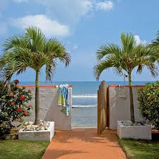 Visit Vieques Puerto Rico Vacation Puerto Rico Beaches Vieques