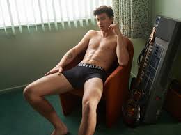 Shawn Mendes tops most searched-for list on gay porn site - Attitude