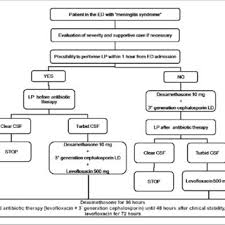 Flow Chart Of The Meningitis Bundle Abbreviations Csf