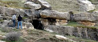 What 11,000 Animal Remains Reveal About ...