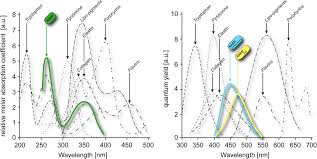This tool will unscramble letters to make words. Nadh Autofluorescence A Marker On Its Way To Boost Bioenergetic Research Schaefer 2019 Cytometry Part A Wiley Online Library