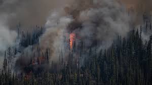 Firefighters shows the impact so far of a fire tearing through the small village of lytton. Life Among The Flames B C Firefighter Details The Battle To Extinguish Wildfires Ctv News